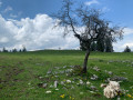 Mont de l'Herba au loin