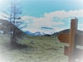 Mont Mounier