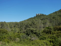 Castrum du Mont Paon
