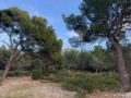 Mont Redon