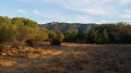 Mont St Baudille