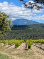 Mont Ventoux depuis la colline de mars