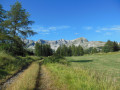 Plateau de Bure
