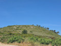 Montagne Verdoyantes