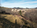 Montaillou