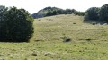 Montée à Pierre Chauve Montée à Pierre Chauve