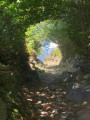 Montée après Gez