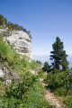Montée après le Col de l'Alpette