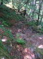 Crête des Hautes-Vosges et versant alsacien du Hohneck