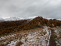 montée au Belvedère