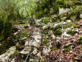 Montée Belvédère de la Pointe de la Roche Montée Belvédère de la Pointe de la Roche