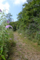 Montée colorée