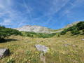 Montée dans le pré