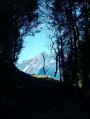 montée dans les bois montée dans les bois