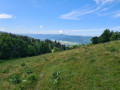 Montée dans les pâturages