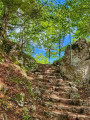 Weissenstein - Balsthal Weissenstein - Balsthal