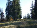 Montée du Haut de Felsach
