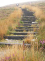 Montée en escalier