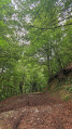 Entre forêt et jolis hameaux par le PR®-PNPE 26