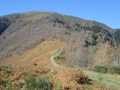 Montée en lisière de forêt