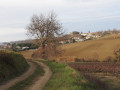 Chemin de la crête entre vignes et bois à Ajac