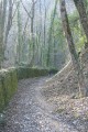 Montée initiale dans un chemin bucolique Montée initiale dans un chemin bucolique