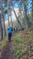 Montée régulière en forêt