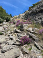 montée sentier du garel