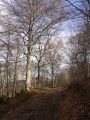 Montée sur Couhard Montée sur Couhard