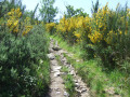 Montée sur les crêtes