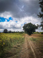 Montée vers la route