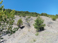 montée vers la tête de Méric
