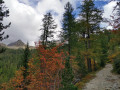 Montée vers le Lac Nègre