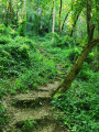 montée vers le plateau montée vers le plateau