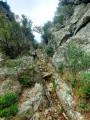Montée vers le roc rodon