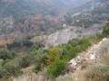 From garrigue to Cévennes shale landscapes, departing from Les Vans