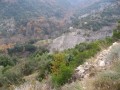 From garrigue to Cévennes shale landscapes, departing from Les Vans From garrigue to Cévennes shale landscapes, departing from Les Vans