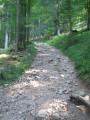 Montée