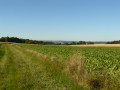 Montereau en vue