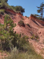 Sur les hauteurs de Saint-Paul-et-Valmalle Sur les hauteurs de Saint-Paul-et-Valmalle