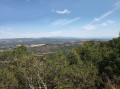 Variante allongée des Collets du Luberon Est