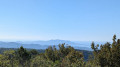 Montounier