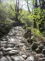 montpezat;calade