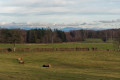 Monts du Cantal