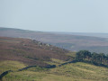 Moorland Landscape