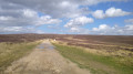 Moorland Track
