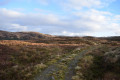 Moorland Trail