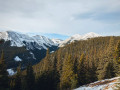 Moose Mountain trail views 2