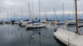 Morges
