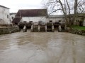 Vallée du Petit Morin - Orly et le Moulin de Coton